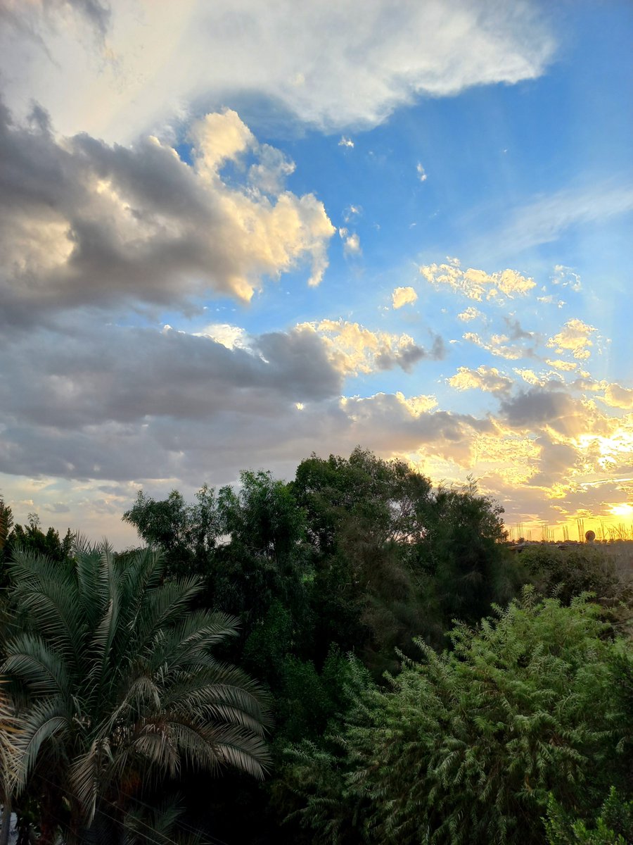 YourFavFatiima's tweet photo. الغروب شكله جميل مع السما والشجر 
اللهم لا تحرمنا لذة التأمل فى جميل صُنعك https://t.co/U2MBezUrmx