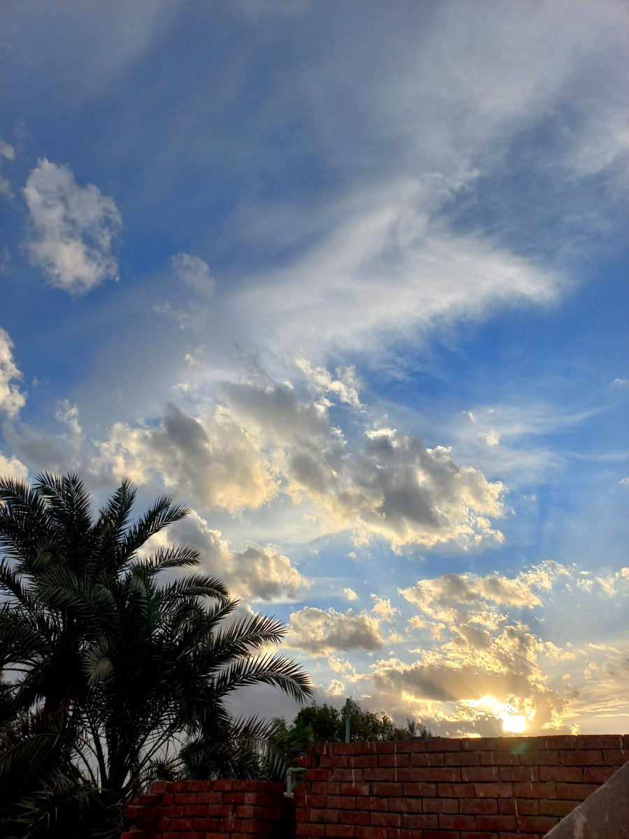 YourFavFatiima's tweet photo. الغروب شكله جميل مع السما والشجر 
اللهم لا تحرمنا لذة التأمل فى جميل صُنعك https://t.co/U2MBezUrmx