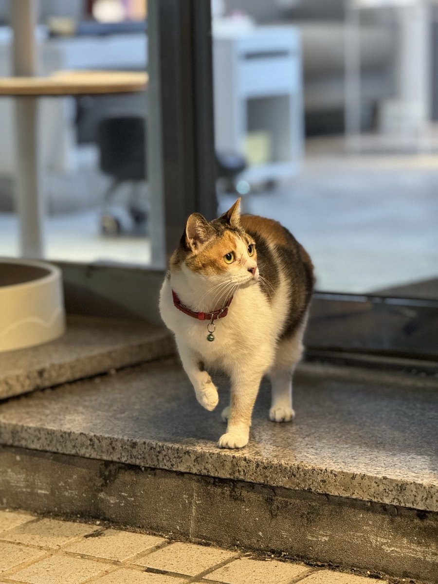 ing5can's tweet photo. 떼껄룩 https://t.co/OUsjy4HsXq
