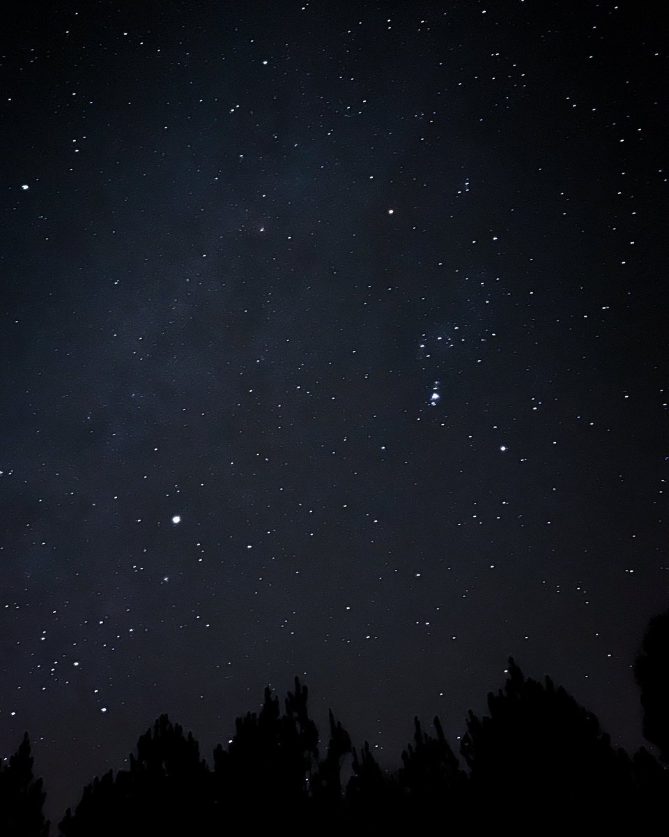 sage_astr's tweet photo. i love stargazing https://t.co/UYURKzO9VJ