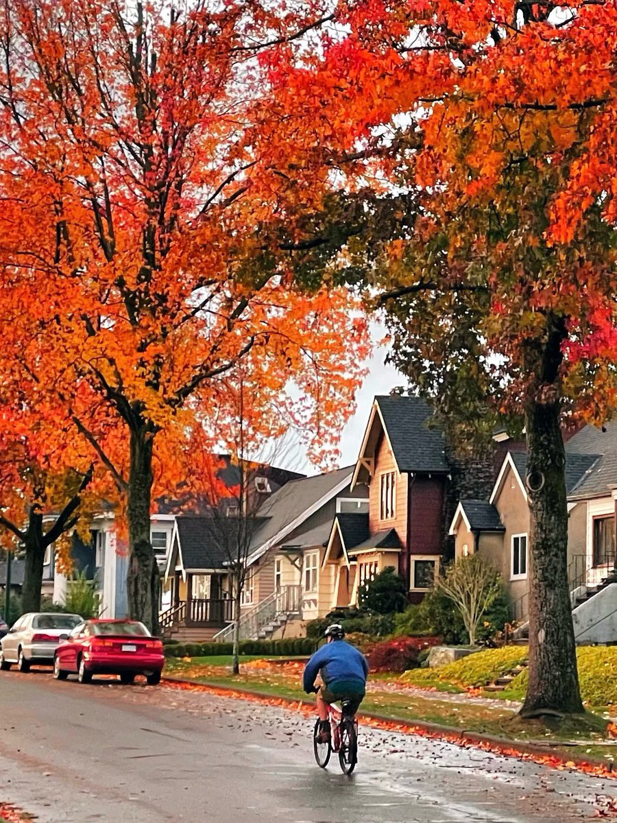 earthserenityy's tweet photo. Vancouver BC Canada https://t.co/uyY6YtwO4e