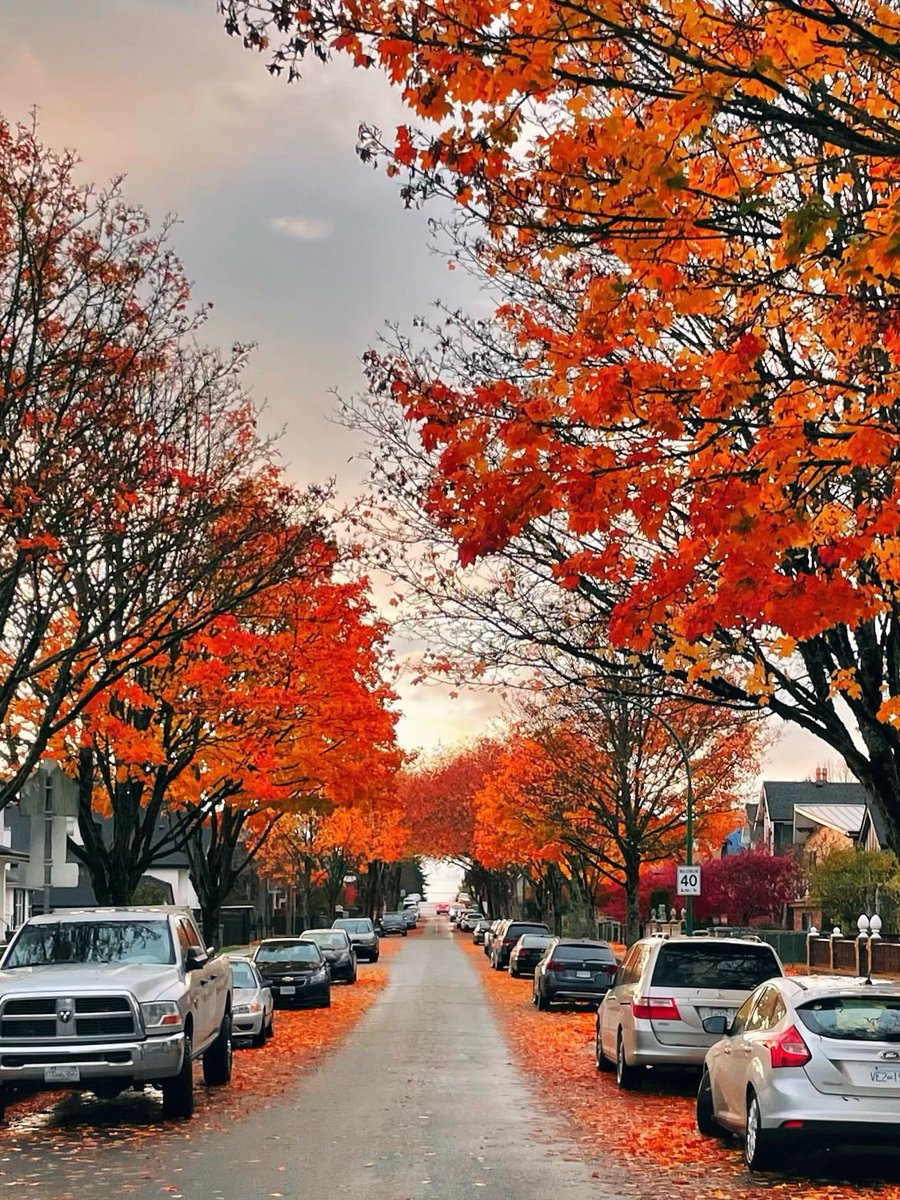 earthserenityy's tweet photo. Vancouver BC Canada https://t.co/uyY6YtwO4e