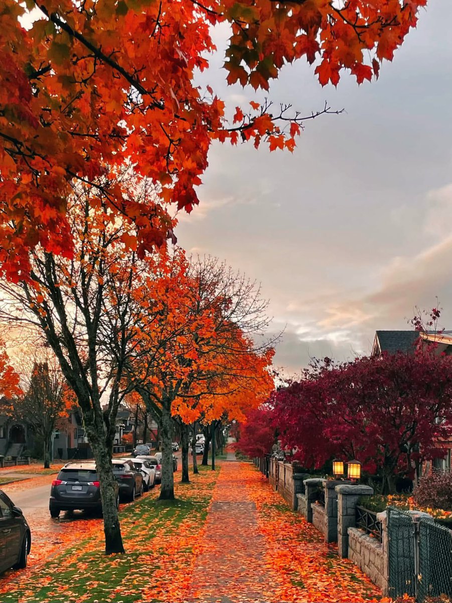 earthserenityy's tweet photo. Vancouver BC Canada https://t.co/uyY6YtwO4e