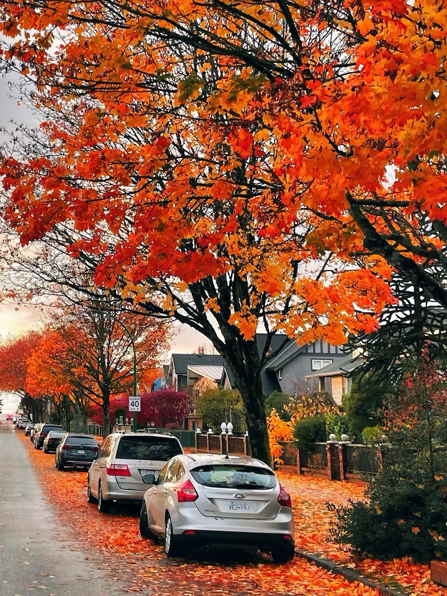 earthserenityy's tweet photo. Vancouver BC Canada https://t.co/uyY6YtwO4e