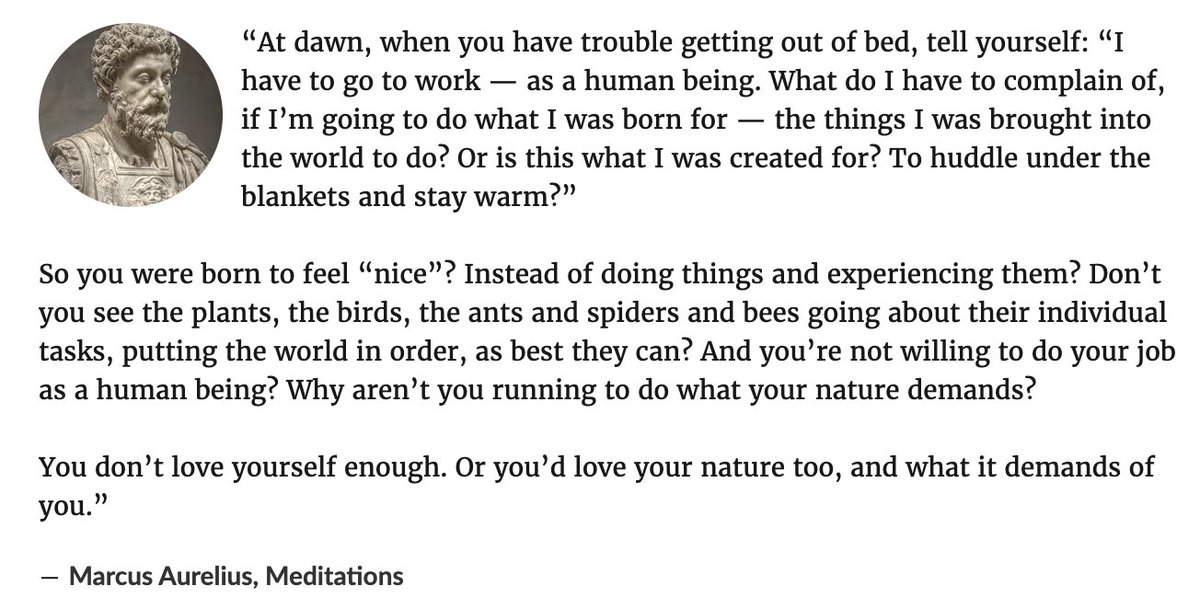 cvcwellness's tweet photo. Marcus Aurelius always has the bangers. Don't wanna get out of bed? This is for you: https://t.co/qthyrwfXNn