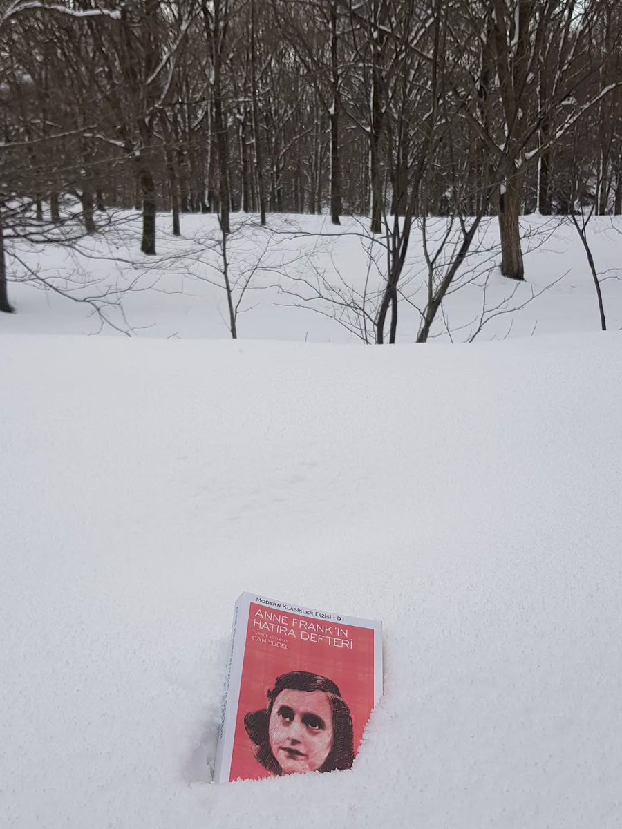 PourewaR's tweet photo. Photo by izledimokudum at Atatürk Arboretum with @beebooks. https://t.co/UB8PG8628p