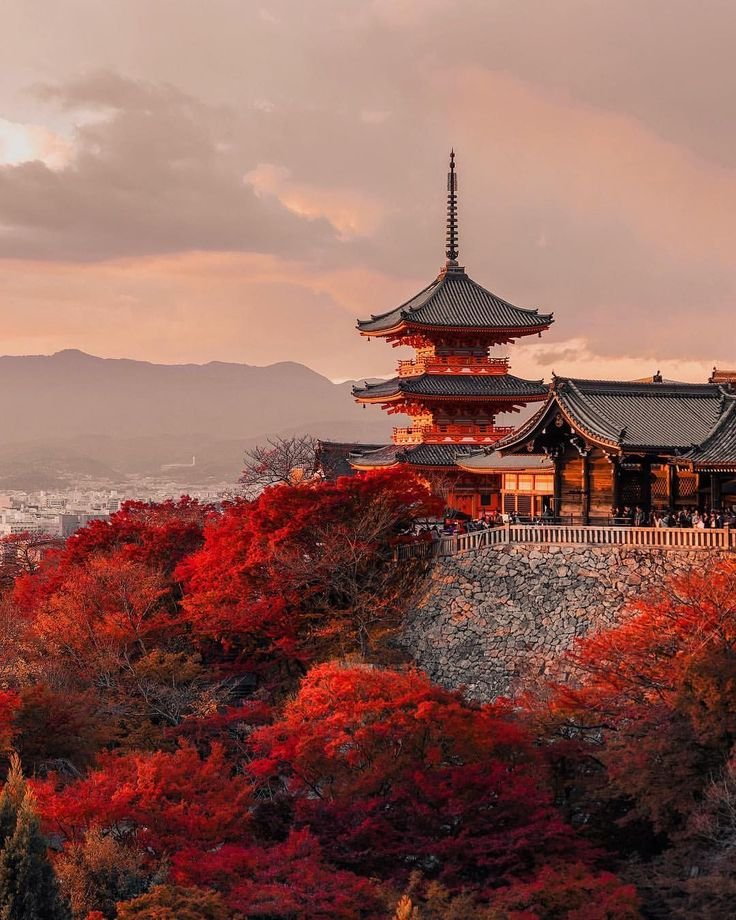 Amazing_Views7's tweet photo. Japan 🇯🇵 https://t.co/V1Pda2jFsd