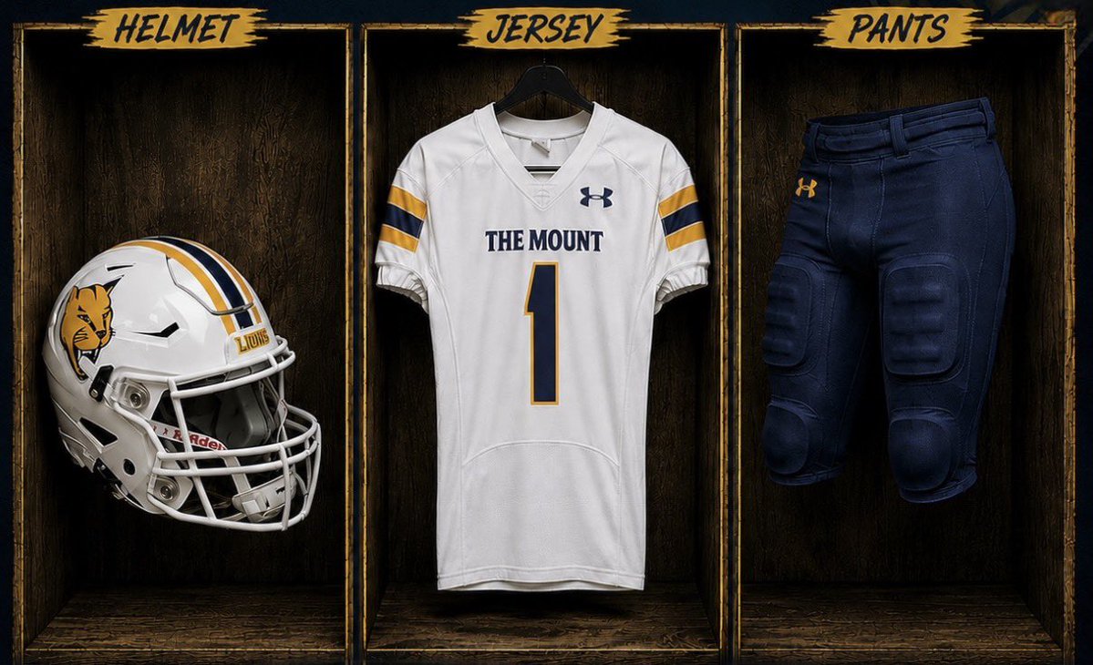 MSJ_FB's tweet photo. Week 4️⃣ Threads 🧵

⚪️⚪️🔵 https://t.co/HPoKMm7kNB
