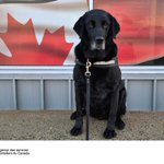 Photo by Border Services PRA (@CanBorderPRA)