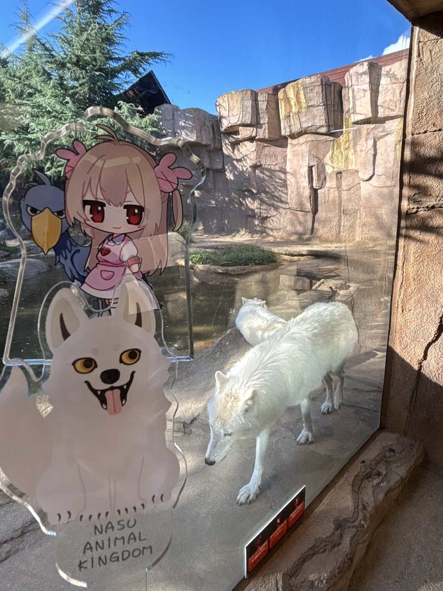 Aaronankira's tweet photo. なすどガチで良かった…
きっかけをくれた名取にデカ感謝
あと2日くらい欲しい〜
#名取と行くなすど https://t.co/SXOaAcyyDI