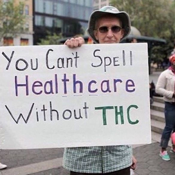 WeedPorns's tweet photo. https://t.co/z63H9rCsDK