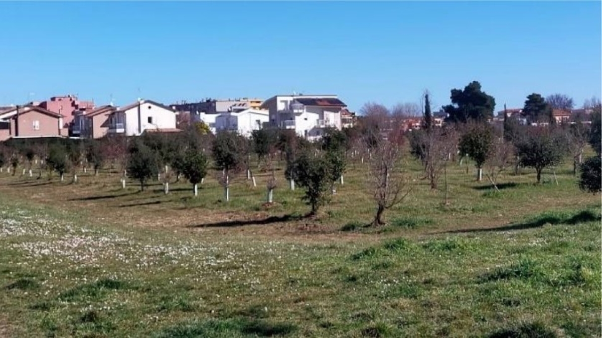radioduomo's tweet photo. Dai beni pubblici ai beni comuni! 🌳 A #Senigallia la cittadinanza attiva si prende cura del Parco della Cesanella con i nuovi patti di collaborazione.

Domenica 4 ottobre h 17 riunione all'Oratorio della Cesanella. Partecipa anche tu! 🤝
👇
https://t.co/TjzZmHH32v

#BeniComuni https://t.co/h5h6T3SKBI