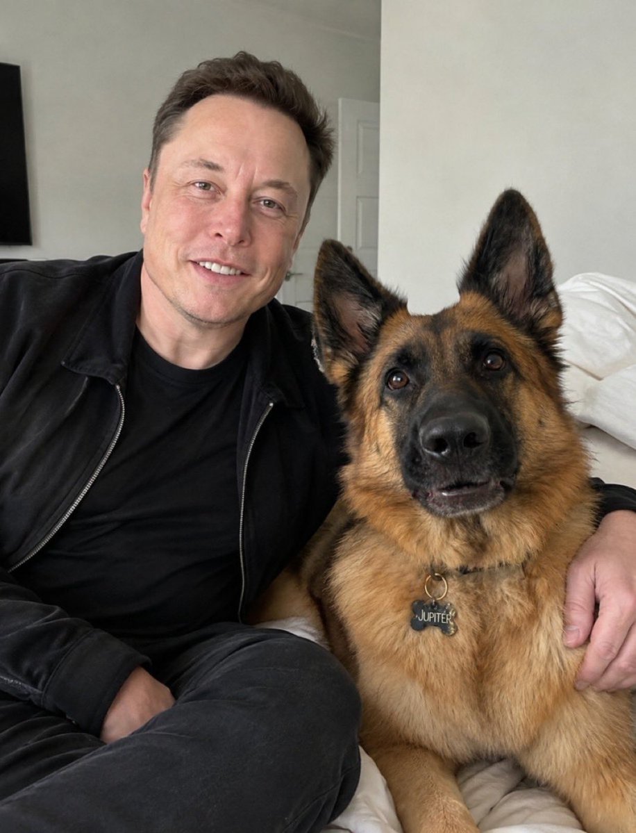 ElonMuskALP's tweet photo. Is owning a pet a human right or a luxury?

1 - ○ Right
2 - ○ Luxury https://t.co/mnuIy3lrNv