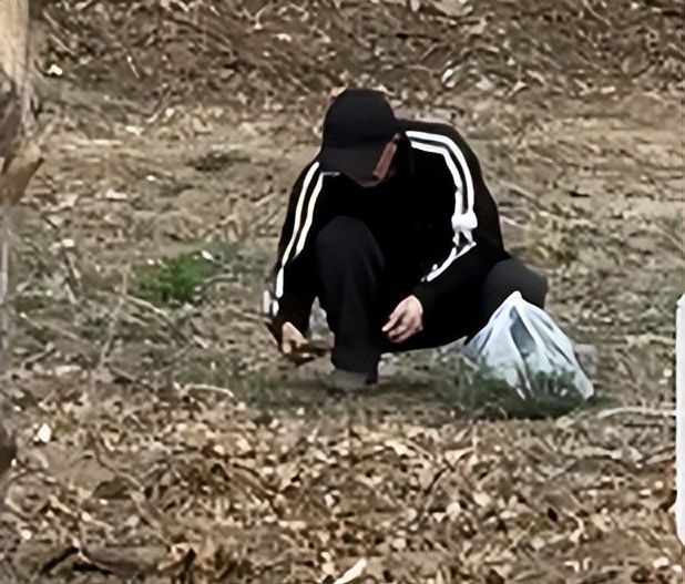 willia_io63's tweet photo. A vendor by the field uses a shovel to dig wild veggies – I’m really looking forward to fresh, local snacks!， https://t.co/FpsuK1n8dy