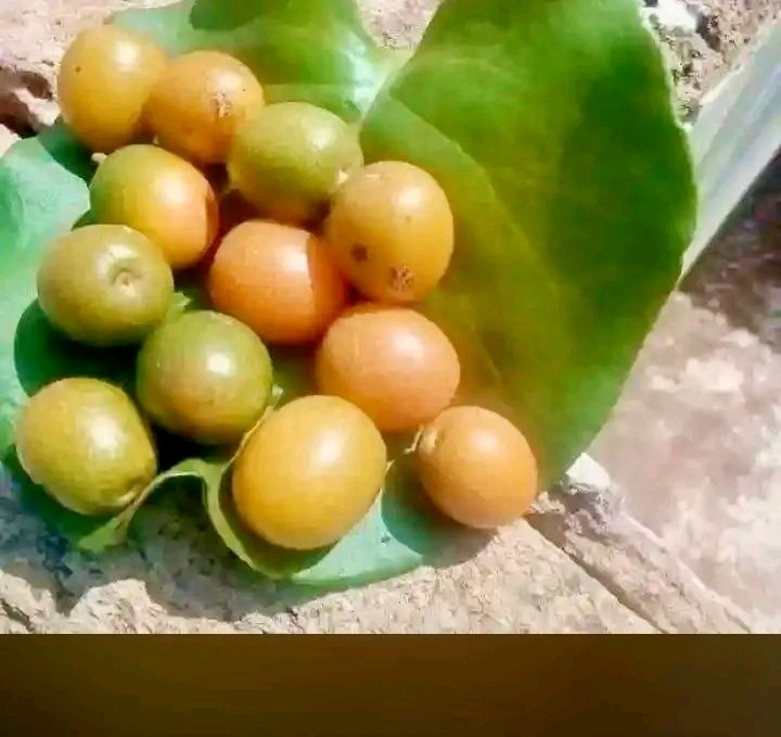 FlorenceKimonyi's tweet photo. Snacks apa pale https://t.co/JxwX7CzYOz