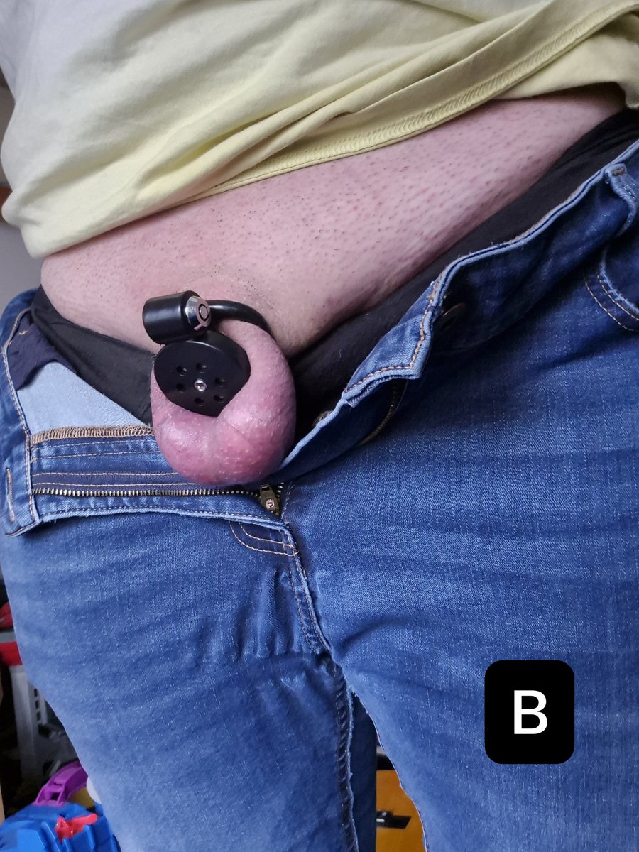 HarouPup's tweet photo. Got myself two new cages which one do you think looks better A or B? 
#chastity https://t.co/XbXtb5CLbC