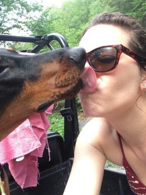 Flinthsw7h's tweet photo. I can still feel the stretch.
That knot left a clear mark.
Uncut video only in private.
Link in bio
#dogs #K9 #Canada https://t.co/dLfCXXUdc3