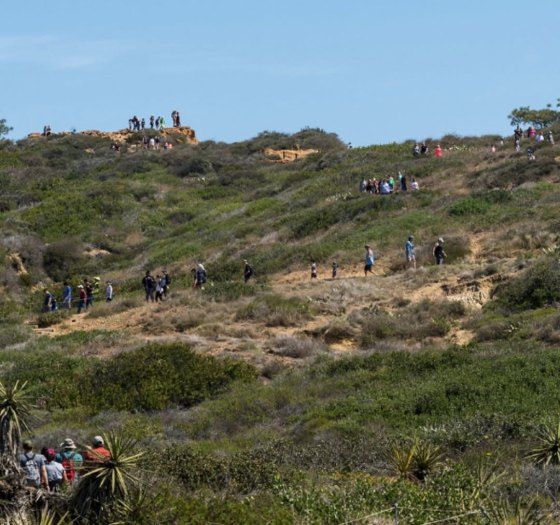 CityDelMar's tweet photo. Torrey Pines State Natural Reserve is closed to complete utility line improvements and accessibility upgrades. A reopening is expected in March. Webpage --> https://t.co/EOxANf3LyH https://t.co/JNLHtrgqe5