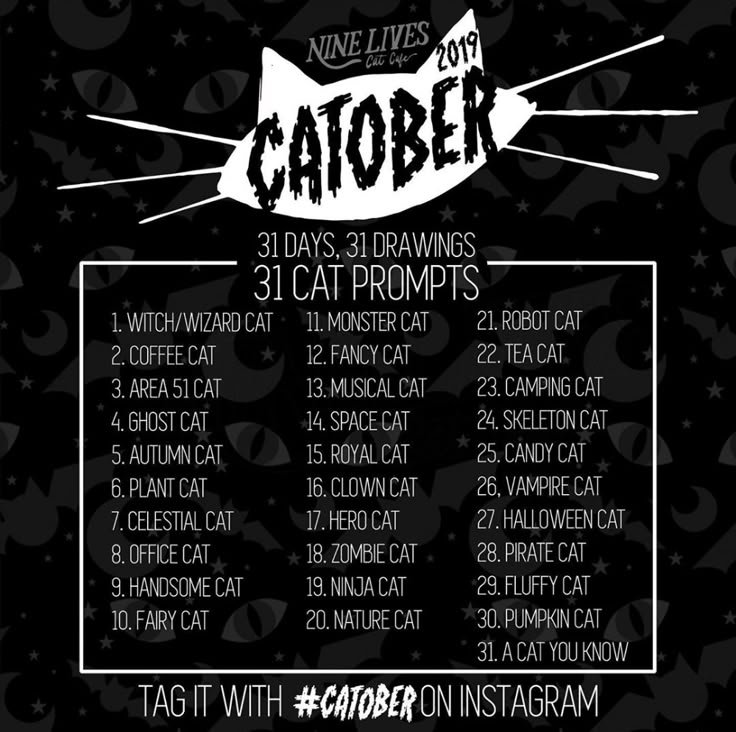 unhingedandeepy's tweet photo. Missed day one but here's Catober #2!! I'll do double one day to catch up!

#inktober #art #digitalart #cat https://t.co/APVJ4e6DCn