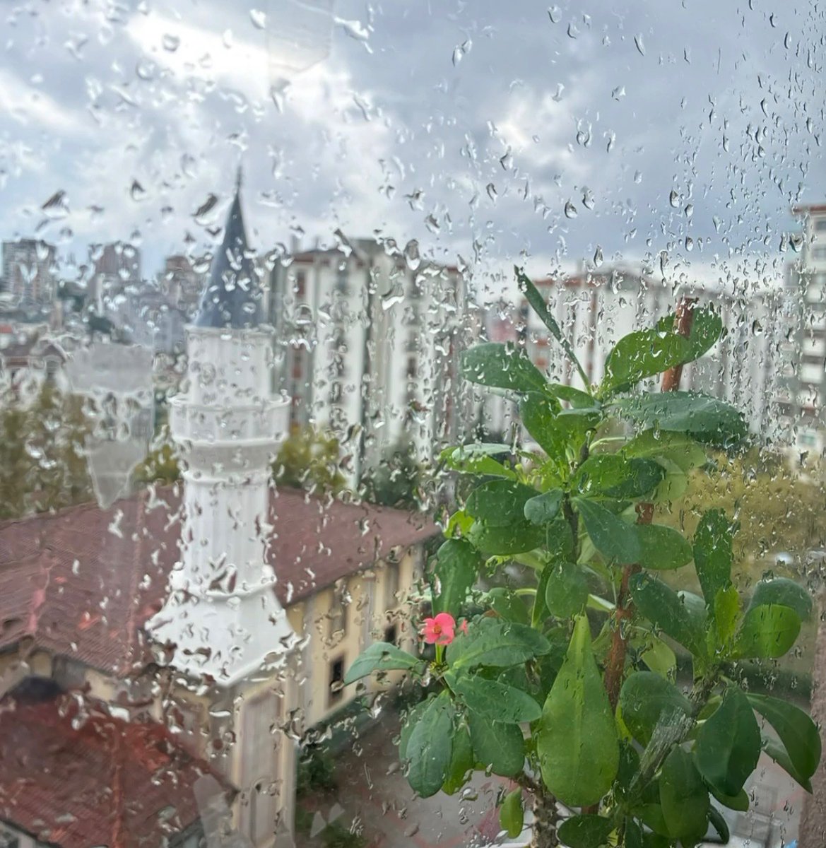 edibbugra tweet picture
