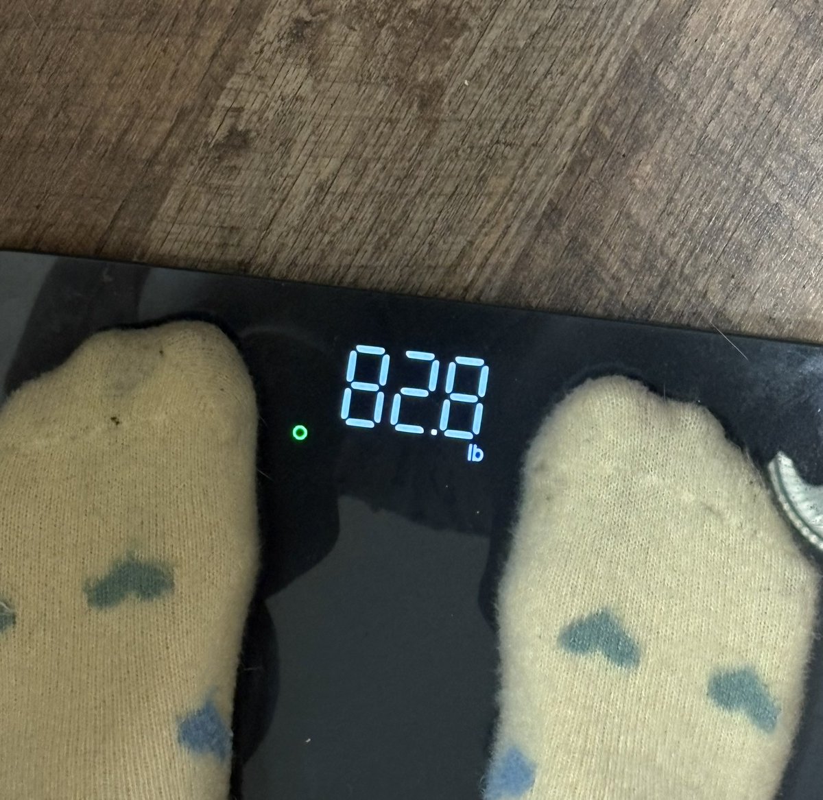 BonesNBobo's tweet photo. Morning w8: I slept rlly well 4once last night. Funeral in a few hours so I’m glad I’m rested at least ε-(´・`*) #edrtwt #bodycheck #ricecaketwt https://t.co/zt076tuY56