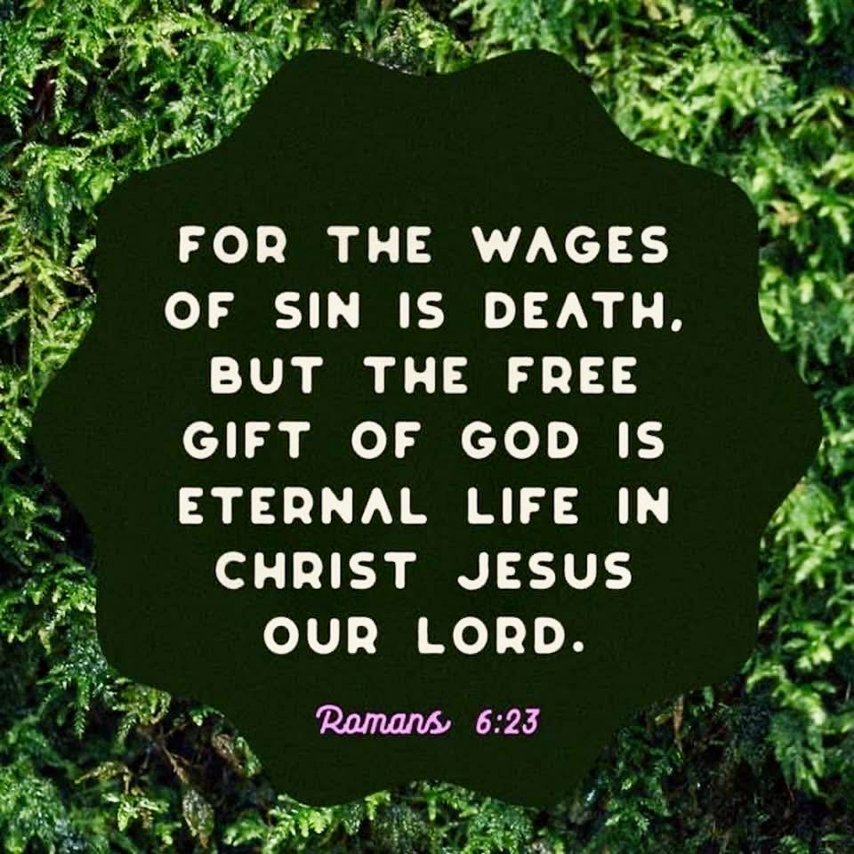 EdwinCox3's tweet photo. AMEN AND AMEN https://t.co/eEVIUC8Po2