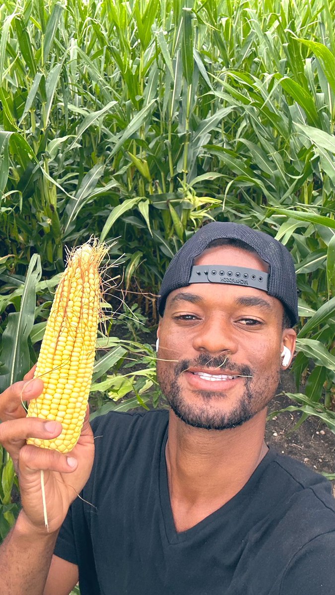 meotech1's tweet photo. Pwosesis la pat fasil! 🌽💪🏾 Men mwen jwenn rezilta m t ap chèche a.

Depi nan plante 🌱 rive nan rekòt, mwen te rete konsistan, presi, epi konsantre sou chak detay. Jodi a, rezilta a la devan je m lò jòn. 🌽💛

Se pa chans. Se travay, disiplin, presizyon ak pasyans ki fè diferans lan.

Lè w plante ak yon vizyon, ou pa sèlman rekòlte mayi ou rekòlte rezilta. 🌱🌽💰🇭🇹👨🏿‍🌾🌱🌽🌽🌽🌽🌽🌽🌽🌽🌽