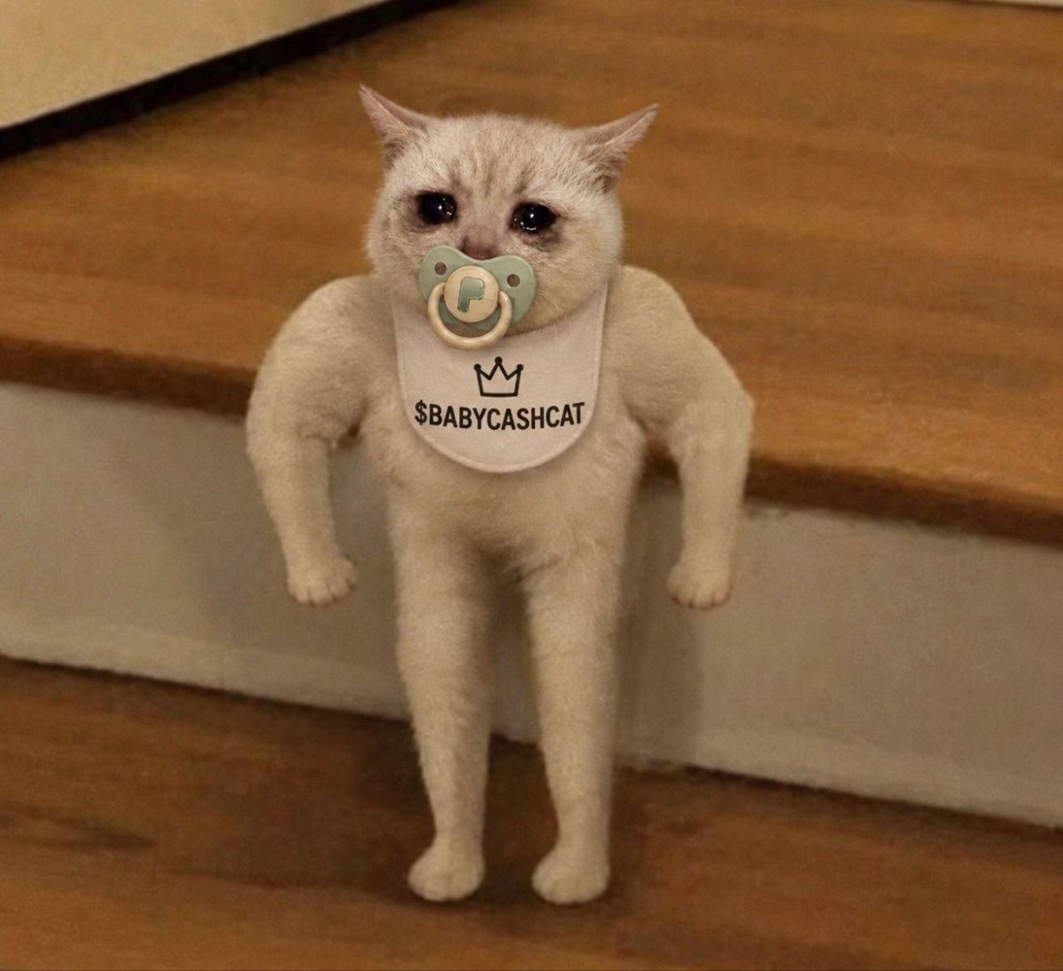 BABYCASHCATCTO's tweet photo. Gm,

The 1st time you break through 1 mcap 

$BABYCASHCAT https://t.co/u1C7IYIzUZ