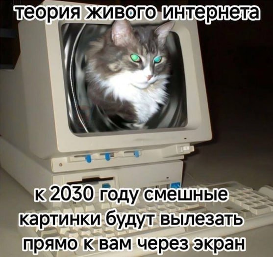 catsilcats's tweet photo. счастливое будущее https://t.co/Vag2mFsKSu