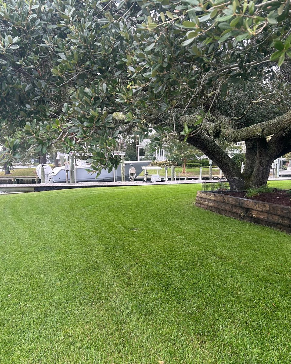 Greenswardturf's tweet photo. Go ahead, admire the view. We are too!
#KeepItGreen ๐ฑ https://t.co/QWF8GPhiYt