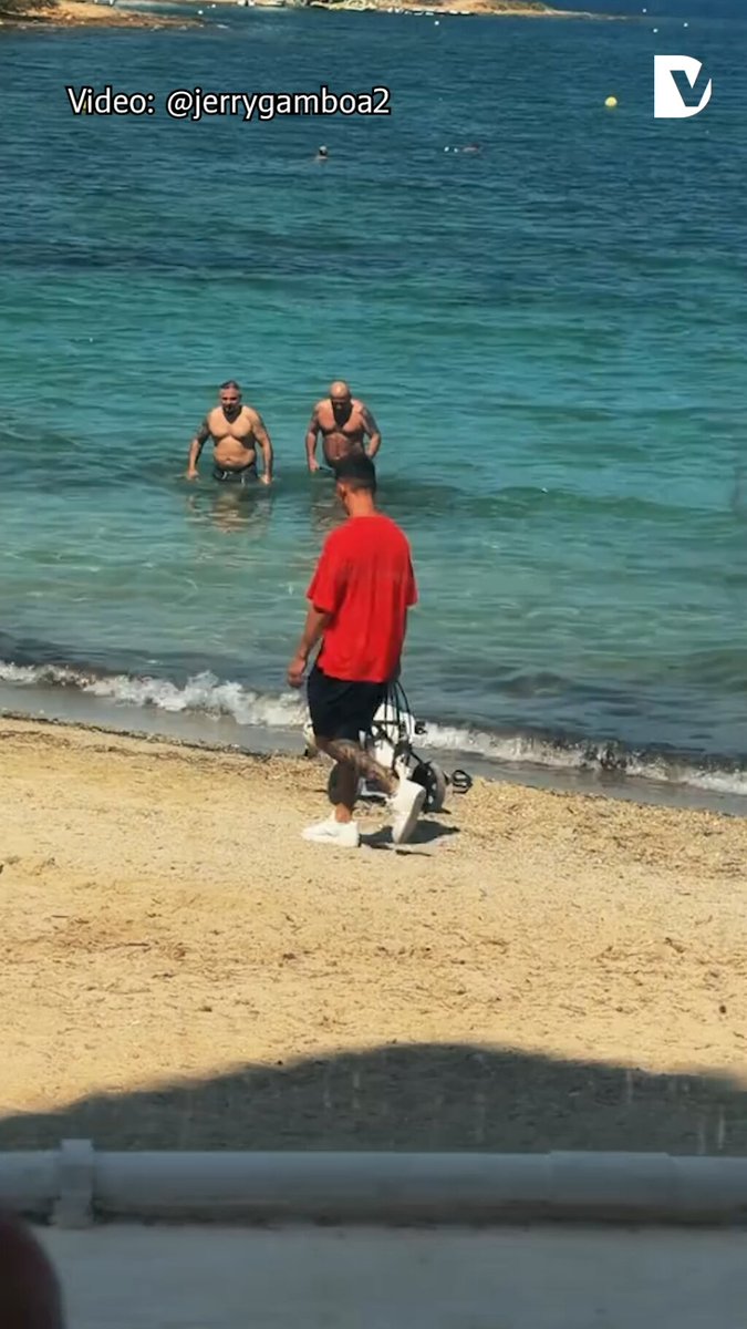 janserify's tweet photo. Happiness knows no limits: a dog in a wheelchair enjoys Ibiza’s beach. https://t.co/LIF8xkm0Ly