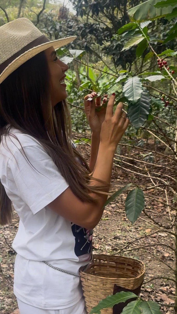 GenealLogic's tweet photo. An experience that smells like coffee and tastes like tradition. https://t.co/kvTYVpQeLz