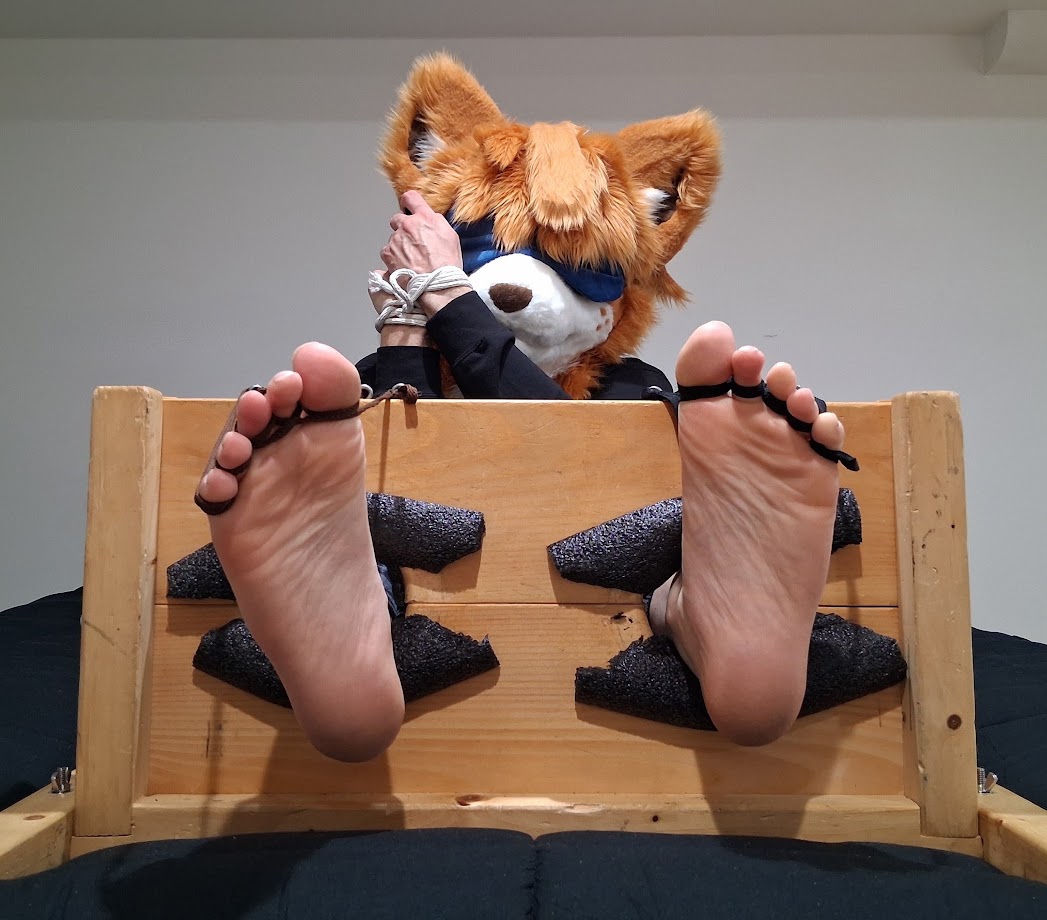 AlxfoxAD's tweet photo. It's finally Stocktober! 
Happy Foxy Friday 🦊👣 https://t.co/G4lRkD6PAM