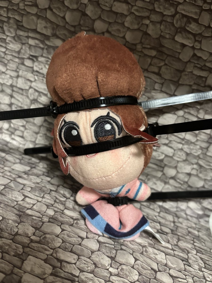 NIWACA_Plus's tweet photo. そろそろ処刑するか？ https://t.co/13yY5KfrJU
