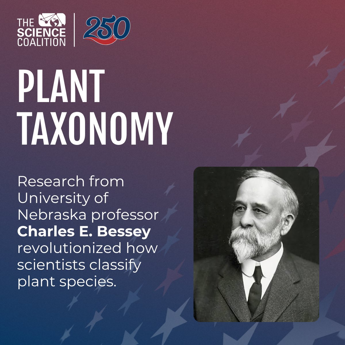 scicoalition's tweet photo. Research led by a @u_nebraska professor pioneered an early system of plant classification, shaping major taxonomy systems and the field of botany for decades.

Explore 250 Years of Innovation powered by federally funded research at U.S. colleges and universities:

@UNLresearch 
https://t.co/m99rtYeE01