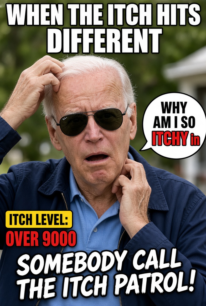 FunDipItch's tweet photo. $FUNITCH @POTUS @HunterBiden https://t.co/33kUsT6uEa