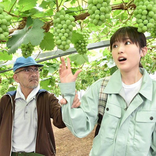 okayamadarake's tweet photo. 岡山県が舞台の映画「 しあわせのマスカット 」

見たいと思ったらリツイート🔁

🍑 https://t.co/7Fh4I70knj

#岡山 #岡山県 #映画 #福本莉子 #PR https://t.co/pyPpdc4ovm
