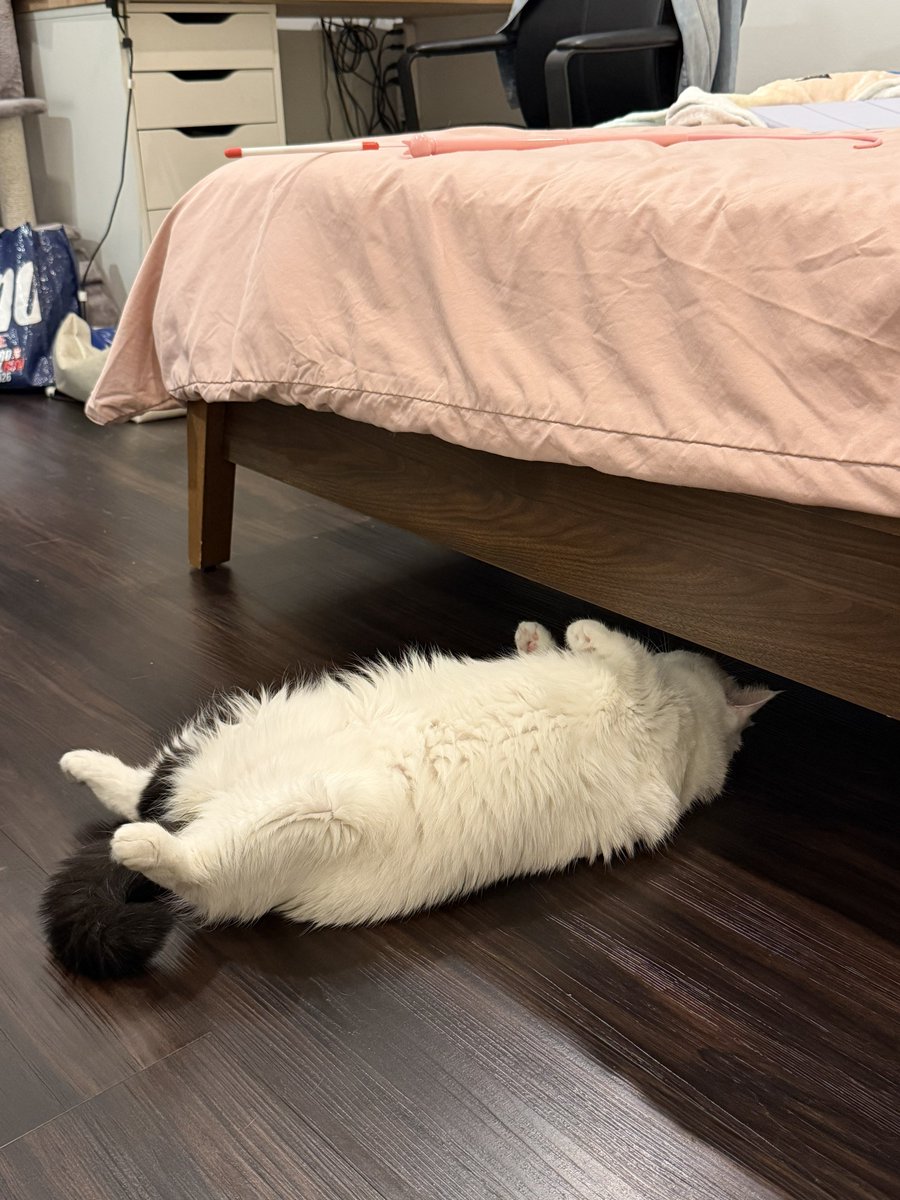 absoluteJB's tweet photo. เหมือนเข้าไปซ่อมใต้ท้องรถอะ https://t.co/hVyrQuHttW