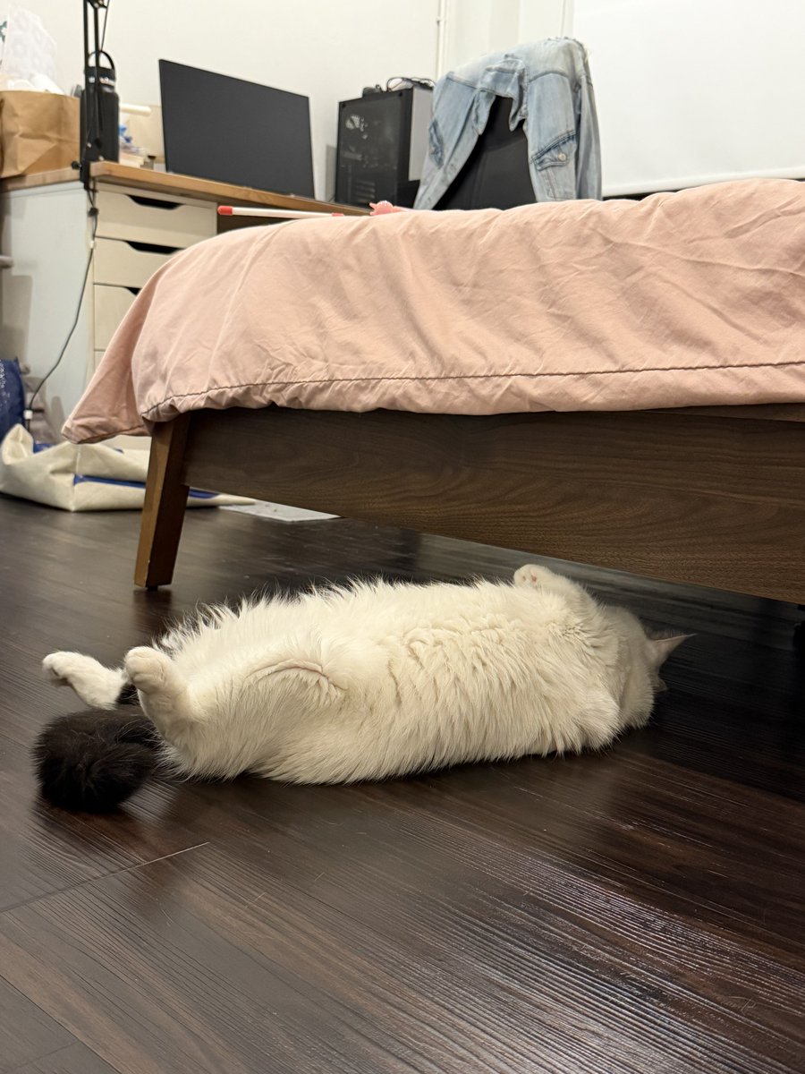 absoluteJB's tweet photo. เหมือนเข้าไปซ่อมใต้ท้องรถอะ https://t.co/hVyrQuHttW