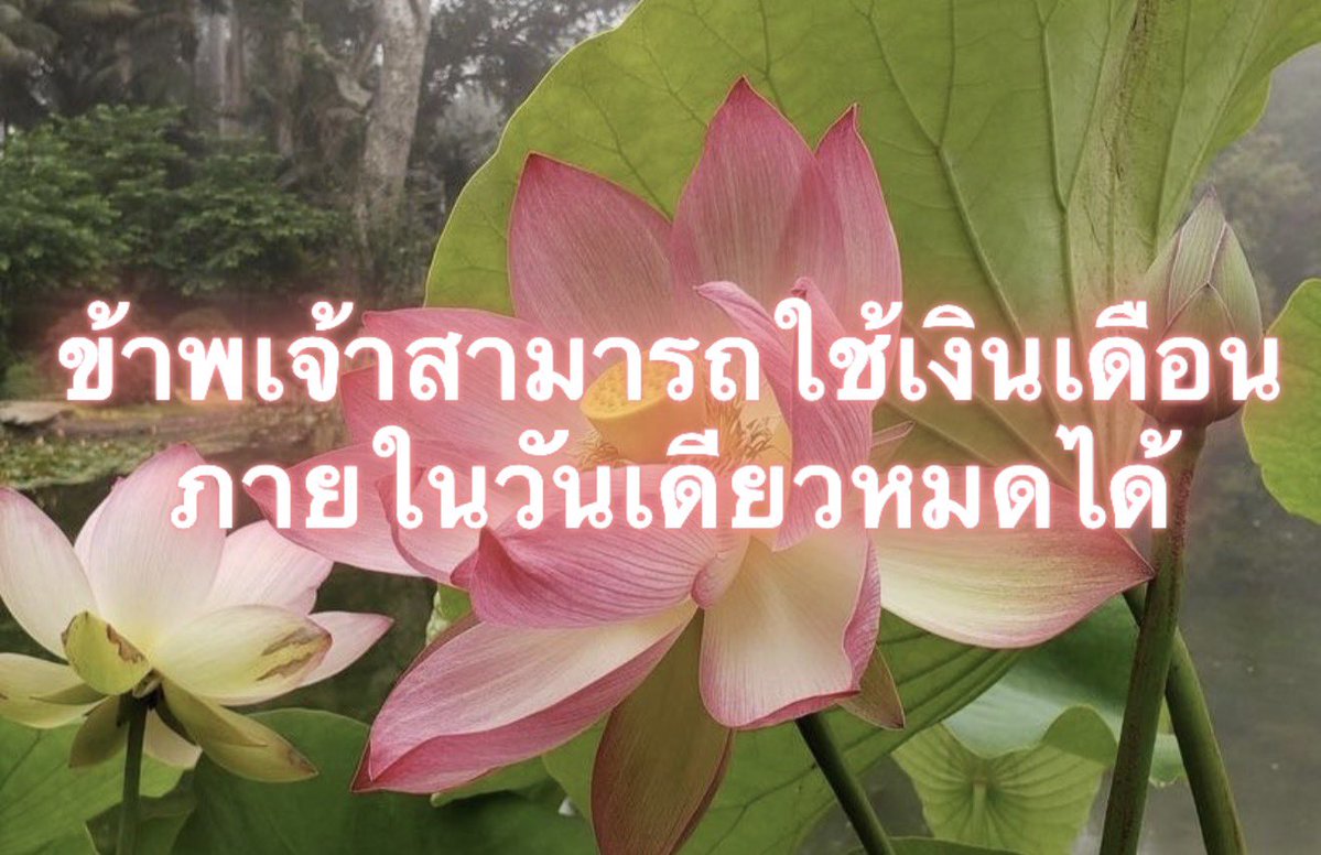 Iaunza's tweet photo. ความสามารถพิเศษ : https://t.co/FWUeGd5qeF