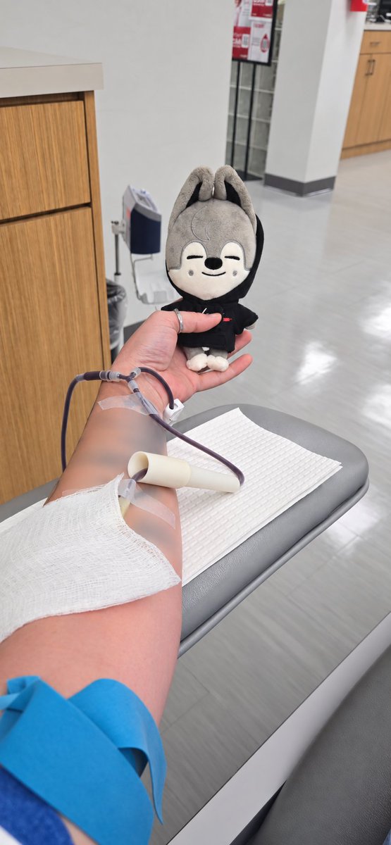 SKZCBGuide's tweet photo. One of our admins donated blood in honor of Bang Chan and his birthday, with Wolf Chan right by their side for a little extra support. 

Chan has spent so many years reminding STAYs to take care of ourselves, take care of one another, and be a source of strength for the people around us. So for his birthday, we wanted to carry a little of that kindness forward.

One donation can help save a life, and we can’t think of a more meaningful way to celebrate someone who has brought so much comfort to so many people.

We hope our admin team can continue this tradition over the years and eventually donate in honor of each of the members on their birthdays. With so many SKZ birthdays packed so close together and only so often that you can safely donate, it might take us a few years to make our way through all eight. 😂But we’ll get there!

Happy Birthday, Bang Chan. Thank you for inspiring STAYs to put a little more good into the world.  🐺❤️

OUR GOLDEN ACE BANG CHAN 
#스테이의_영원한_자부심_방찬 #BangChanEmpireOfTalent 
#HappyBangChanDay