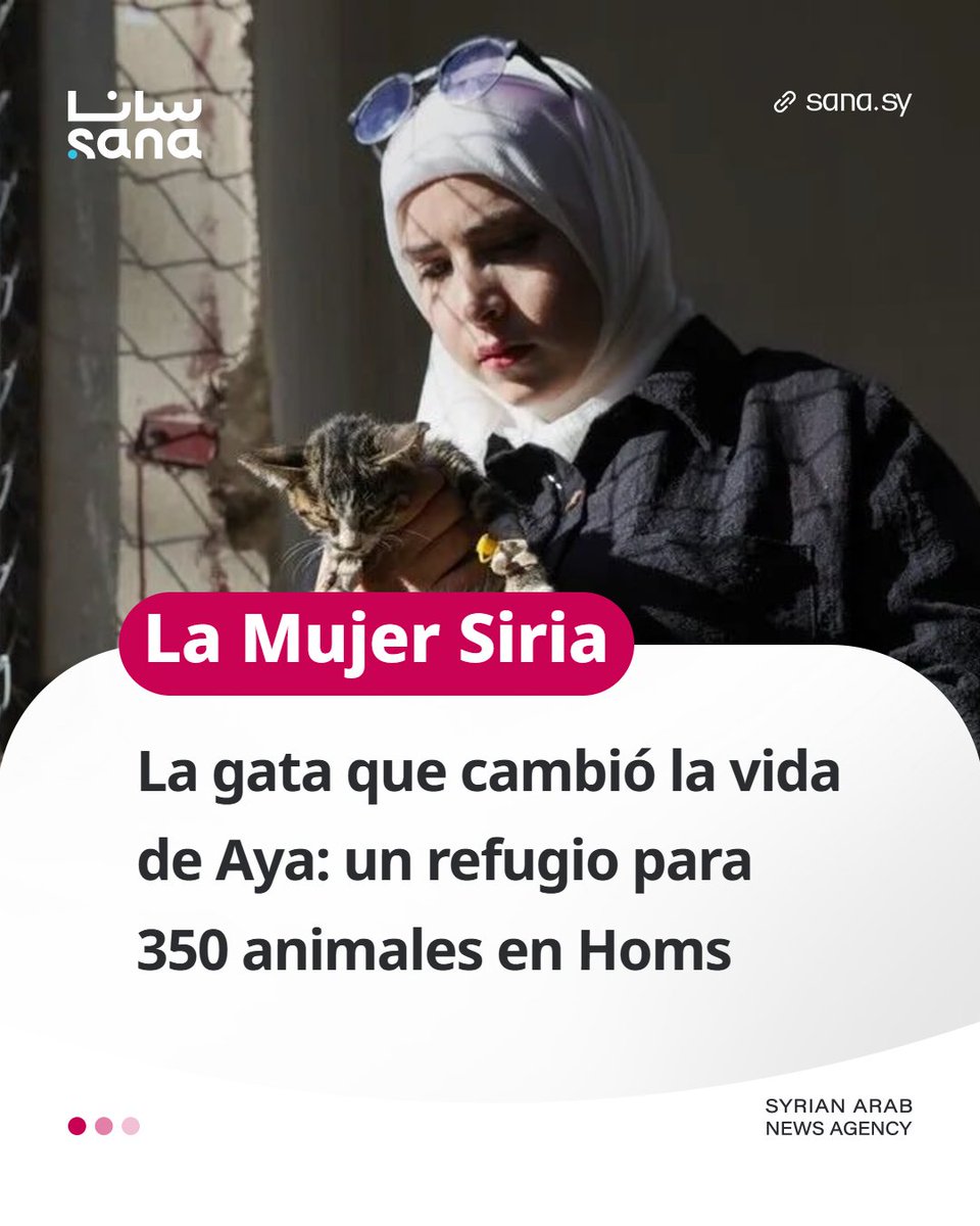 Agencia_Sana's tweet photo. La gata que cambió la vida de Aya: un refugio para 350 animales en Homs

#Homs
#SANAespañol

🖇 Sepa más  https://t.co/yMAr79Rjxa https://t.co/jAgZIDoNnE
