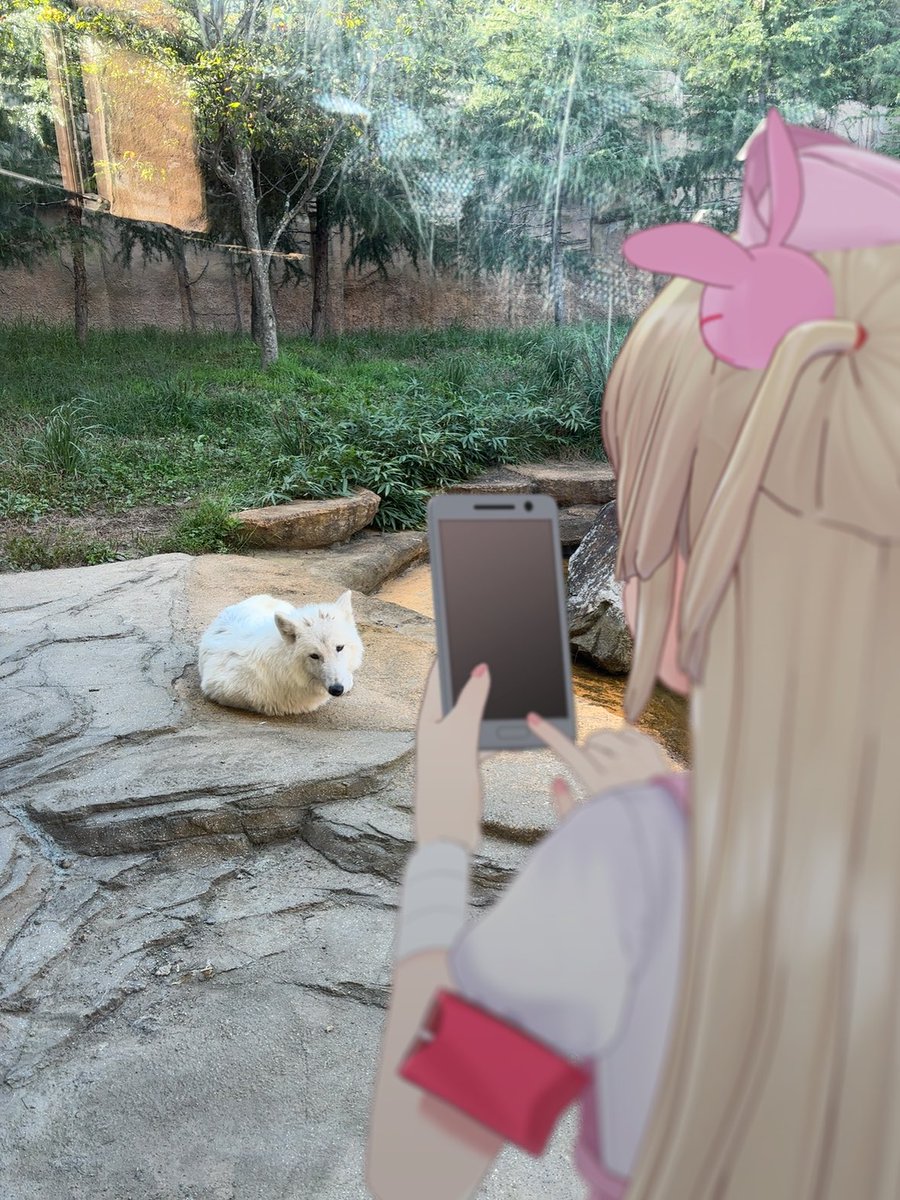 Aaronankira's tweet photo. なすど単体の強さにプラスで試作モリモリで神
王国の生き物展だけでもかなり楽しい
あとスカンクは本当に凄かった
#名取と行くなすど https://t.co/YOGjmwJTHz