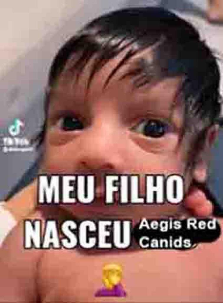 grimoire_com's tweet photo. gente, esse showmatch assusta ou conforta vcs? kk https://t.co/PvvBPo316J