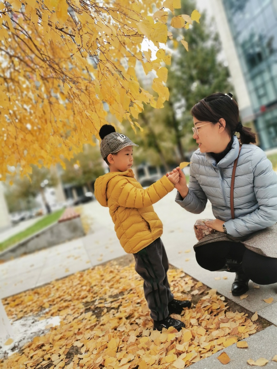 KirstenPavwl's tweet photo. Sabes por qué las estaciones cambian Hoy exploramos con mi hijo los colores del otoo, recogiendo hojas y jugando a adivinar qué árbol son. https://t.co/SVDr3kkXlw
