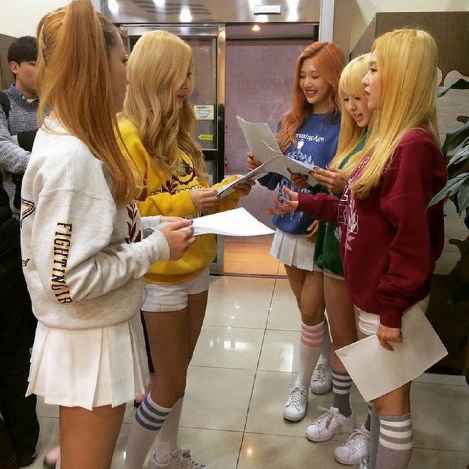 gomdede's tweet photo. <이랫던아기님들       이렇게어른됨..> https://t.co/qHR8KDQQxs