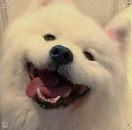 hiromimp_emi's tweet photo. 😴Turn on the lamp on the chest of drawers898917Putting Away Toys The toys are packed https://t.co/rokAZF2fLy
