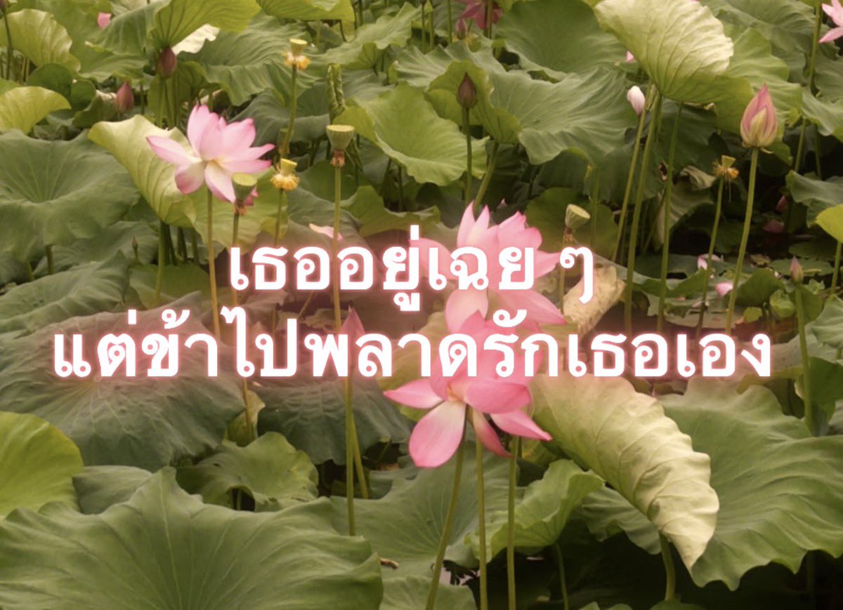 Iaunza's tweet photo. https://t.co/LrAPUyDjYo
