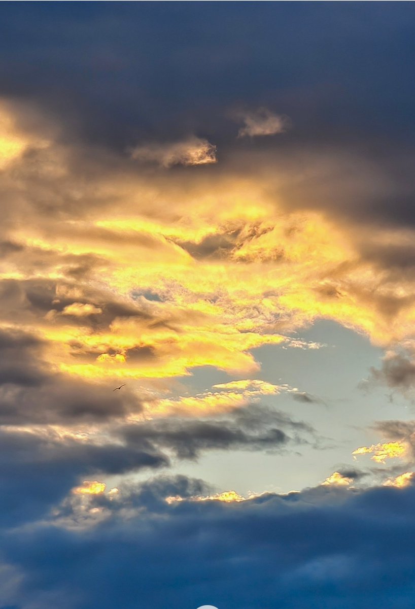 rendellstevens's tweet photo. #sunset #clouds #seagull https://t.co/9iqQnsPUhX