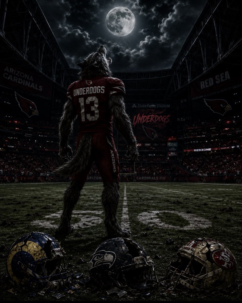 AZCota1's tweet photo. @AZCardinals it’s the spooky season let’s show them the Underdogs https://t.co/xvNXurYYJH